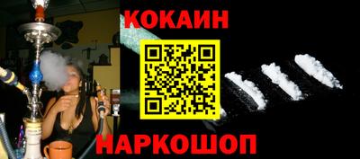 спиды Кингисепп