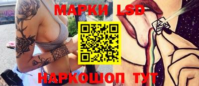 спиды Кингисепп