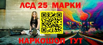 спиды Кингисепп
