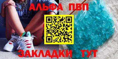спиды Кингисепп