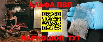 спиды Кингисепп