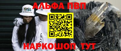 спиды Кингисепп