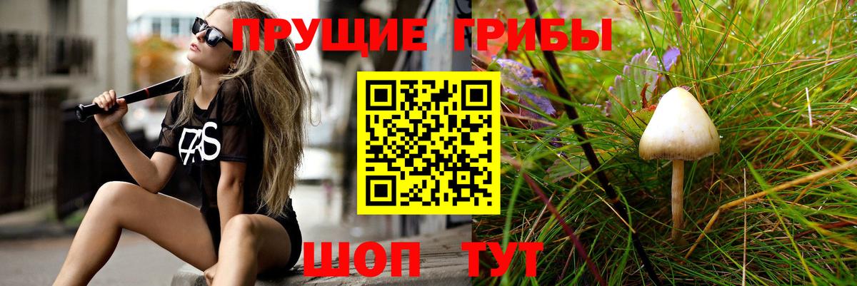 Псилоцибиновые грибы прущие грибы  Вход с VPN  Конаково 